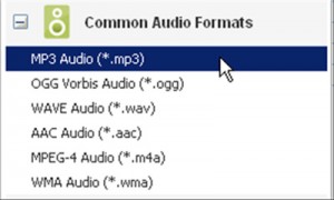 CommonAudioFormats
